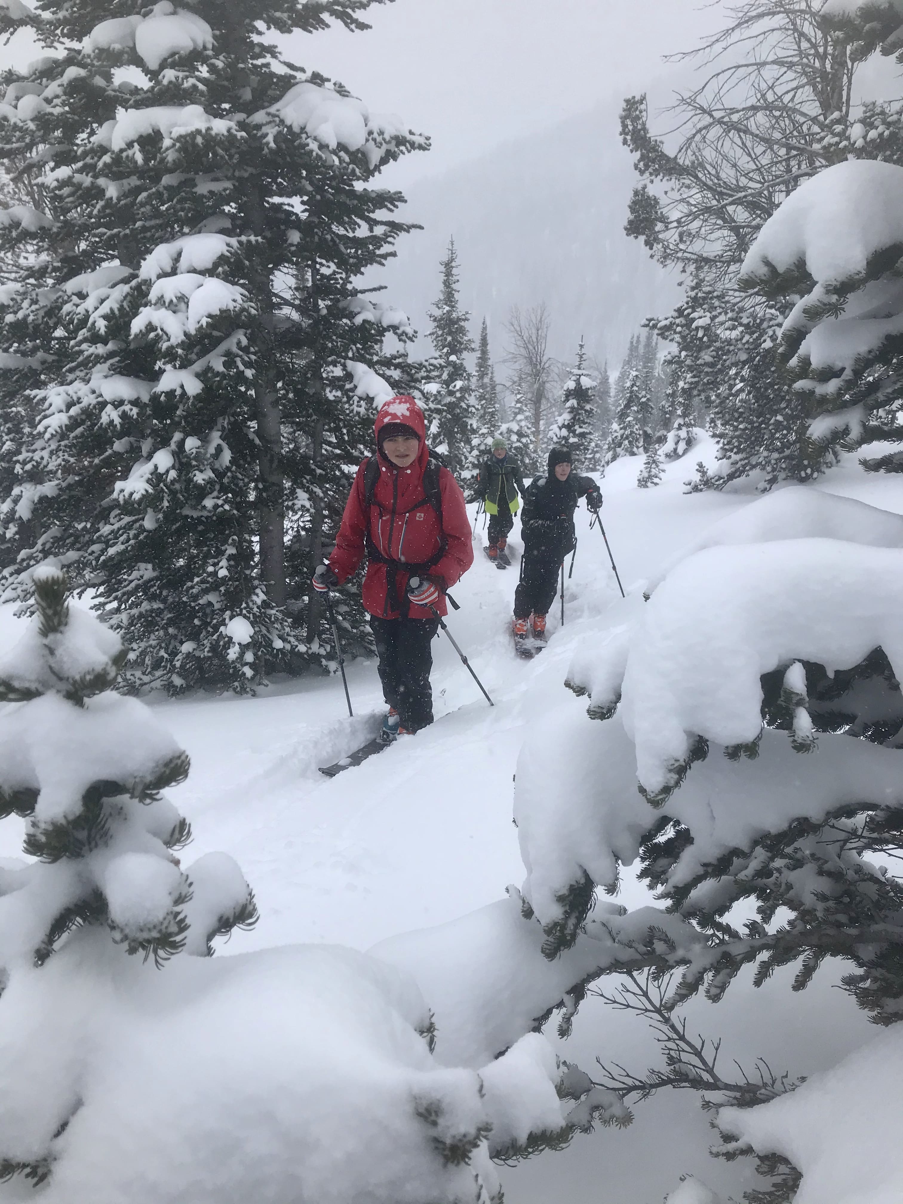 Backcountry Skiing, JHSC, ski tour, avalanche